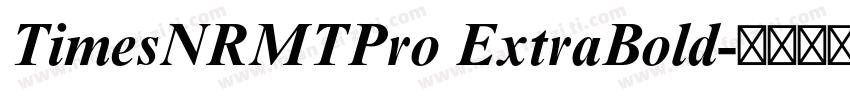 TimesNRMTPro ExtraBold字体转换